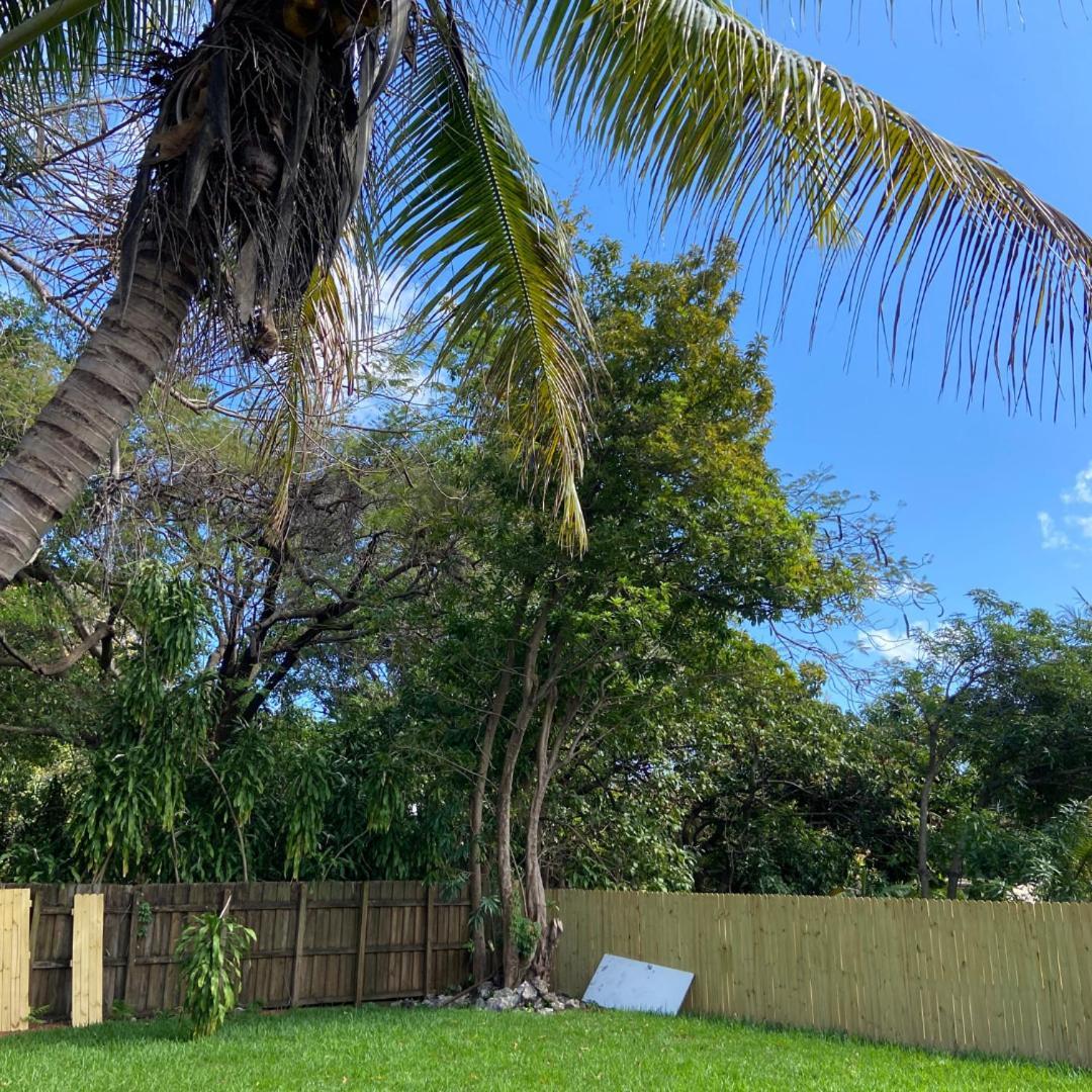 Parnasus Wynwood Pansiyon Miami Dış mekan fotoğraf