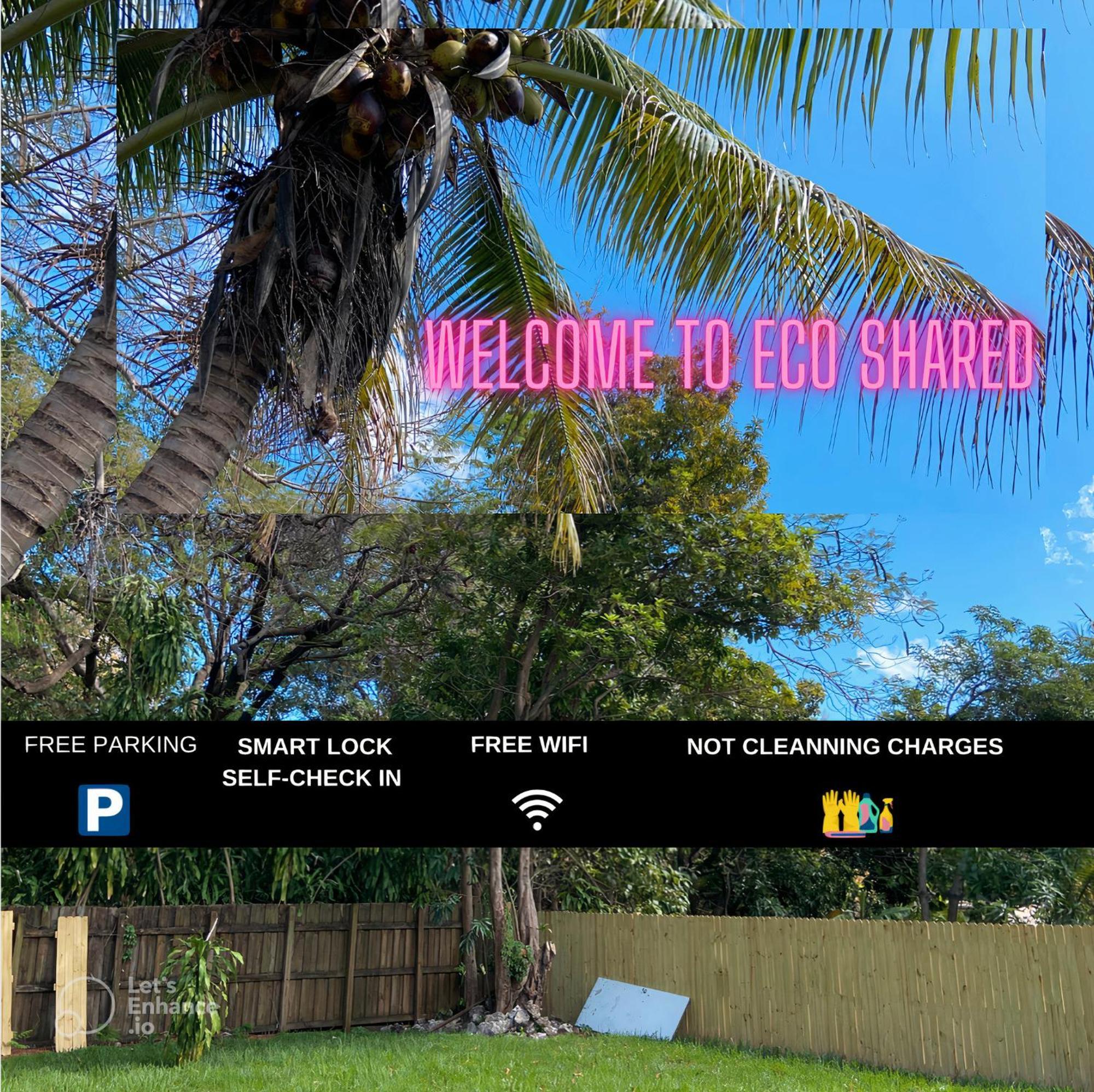 Parnasus Wynwood Pansiyon Miami Dış mekan fotoğraf
